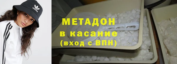 индика Алзамай