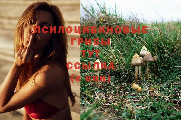 амф Абдулино