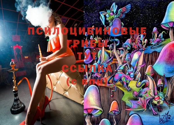 индика Алзамай