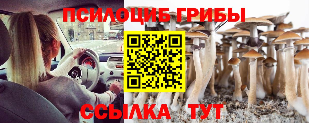 Галлюциногенные грибы GOLDEN TEACHER  Вход с VPN  Новоалександровск  Псилоцибиновые грибы прущие грибы 