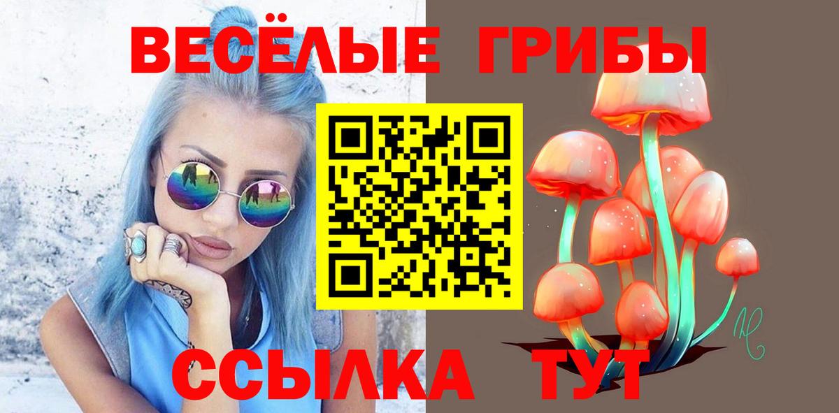 Псилоцибиновые грибы Psilocybe Новоалександровск