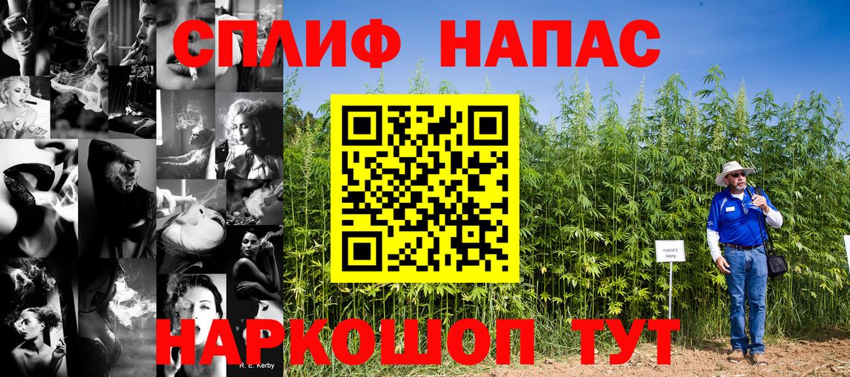 Бошки Шишки тримм Новоалександровск